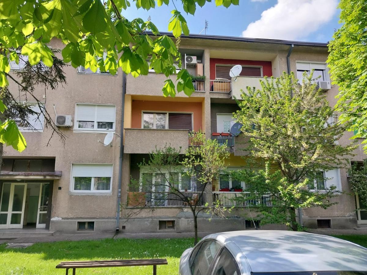 Apartmani Sofronic Loznica 1 Екстер'єр фото